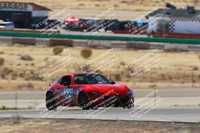 media/Mar-08-2025-Extreme Speed (Sat) [[4abb97269e]]/Purple/Turns 2  and  4 (Session 2)/